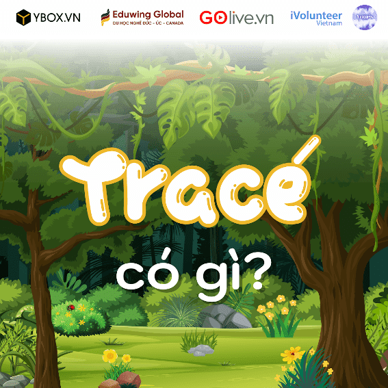 | YOURS | SỰ KIỆN “TRACÉ” CÓ GÌ? |